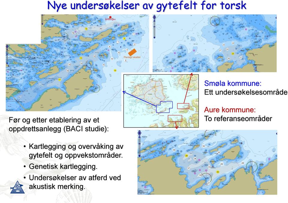 studie): Aure kommune: To referanseområder Kartlegging og overvåking av