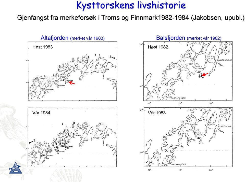 (Jakobsen, upubl.