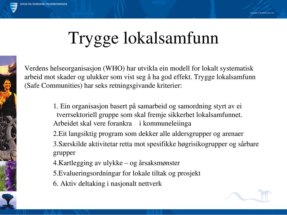 Ein organisasjon basert på samarbeid og samordning styrt av ei tverrsektoriell gruppe som skal fremje sikkerhet lokalsamfunnet.