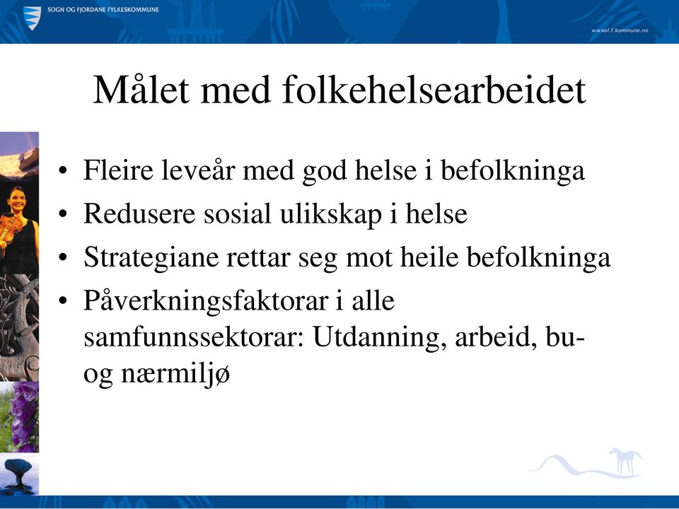 Strategiane rettar seg mot heile befolkninga