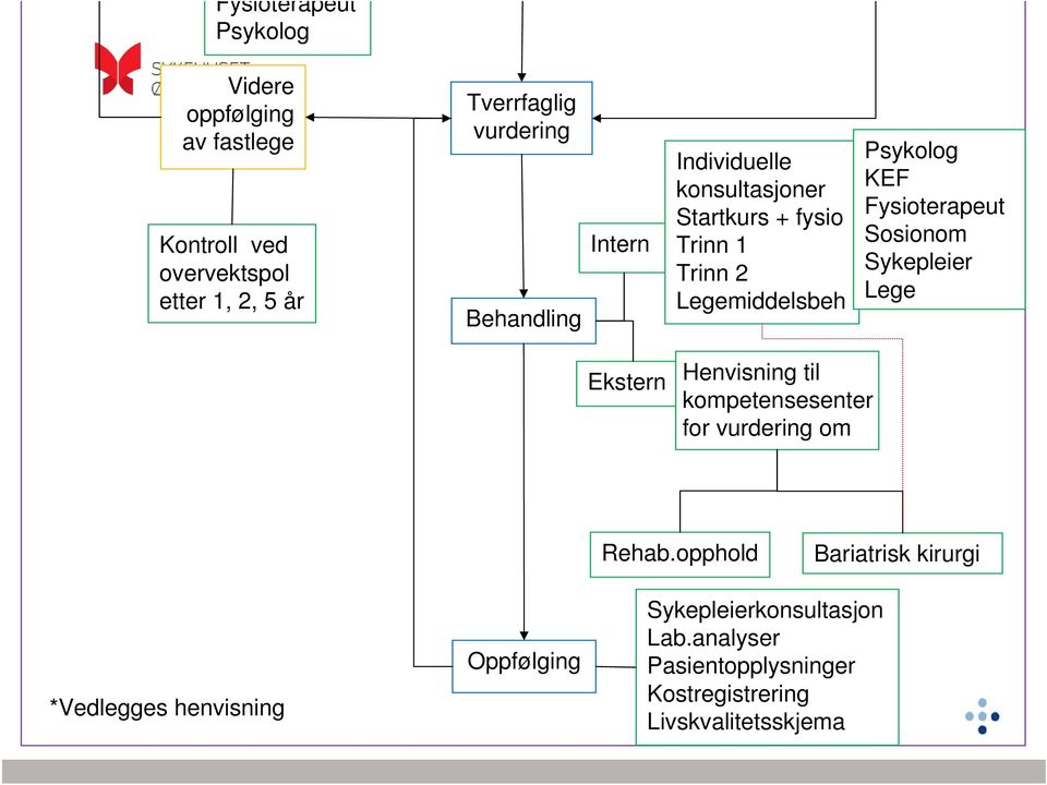 Fysioterapeut Sosionom Sykepleier Lege Ekstern Henvisning til kompetensesenter for vurdering om Rehab.