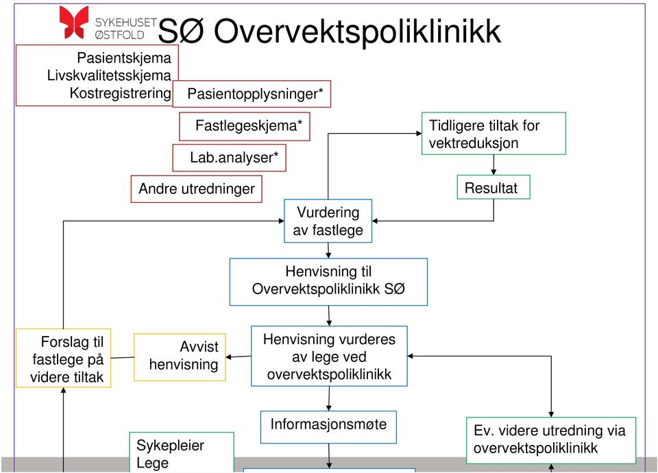 analyser* Tidligere tiltak for vektreduksjon Andre utredninger Vurdering av fastlege Resultat Henvisning til