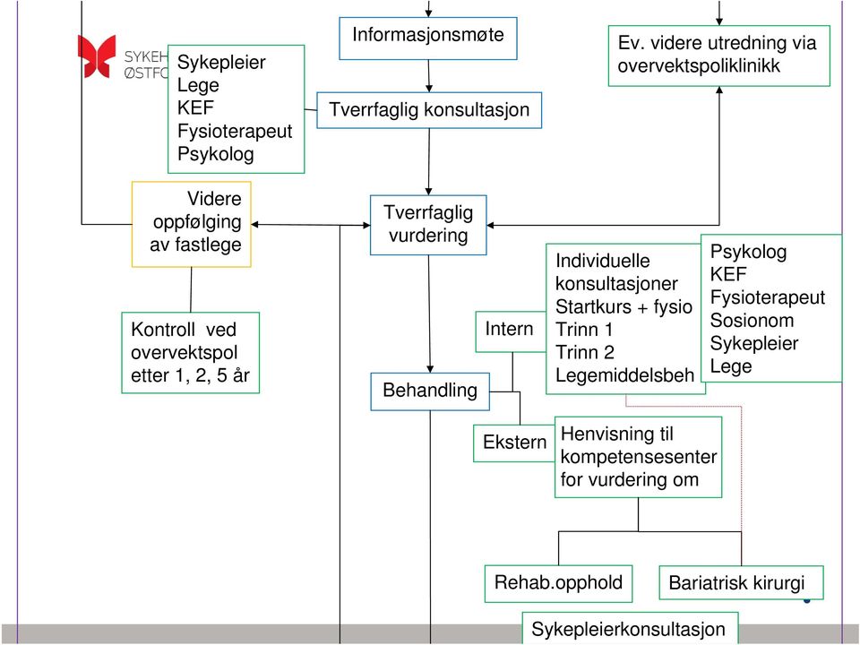 Tverrfaglig vurdering Behandling Intern Individuelle konsultasjoner Startkurs + fysio Trinn 1 Trinn 2 Legemiddelsbeh