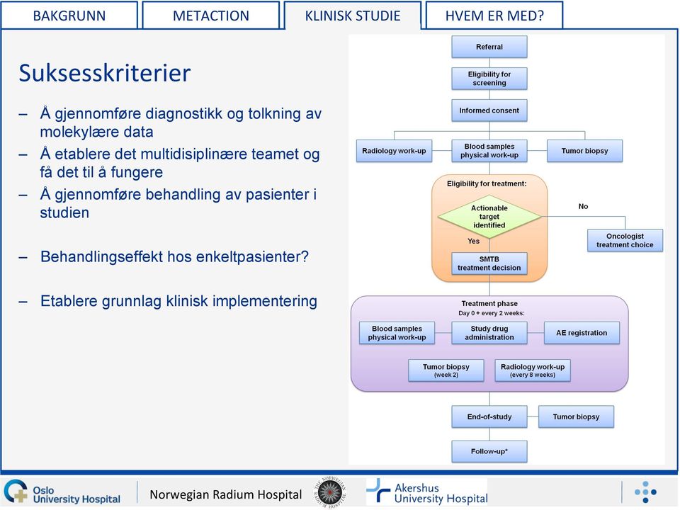 etablere det multidisiplinære teamet og få det til å fungere Å gjennomføre