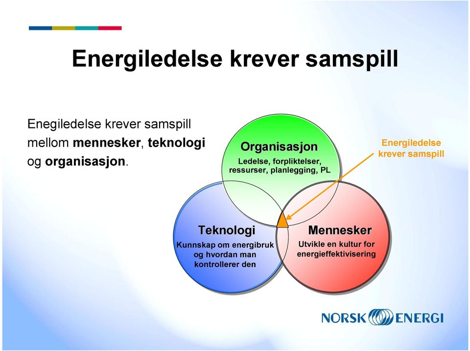 Organisasjon Ledelse, forpliktelser, ressurser, planlegging, PL Energiledelse