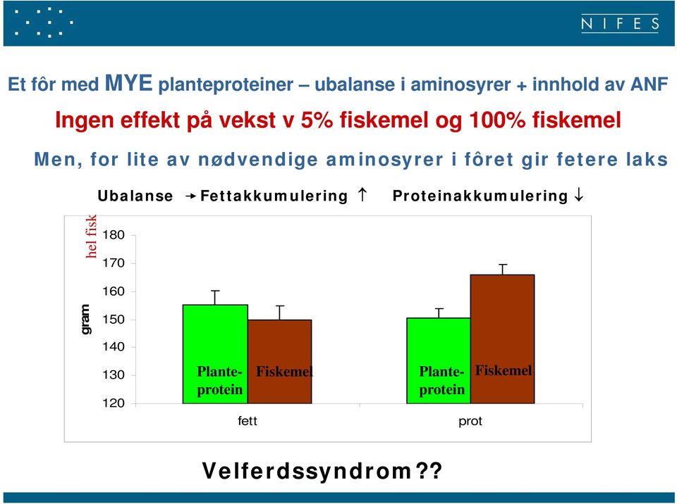 fetere laks Ubalanse Fettakkumulering Proteinakkumulering hel fisk 180 170 gram 160 150