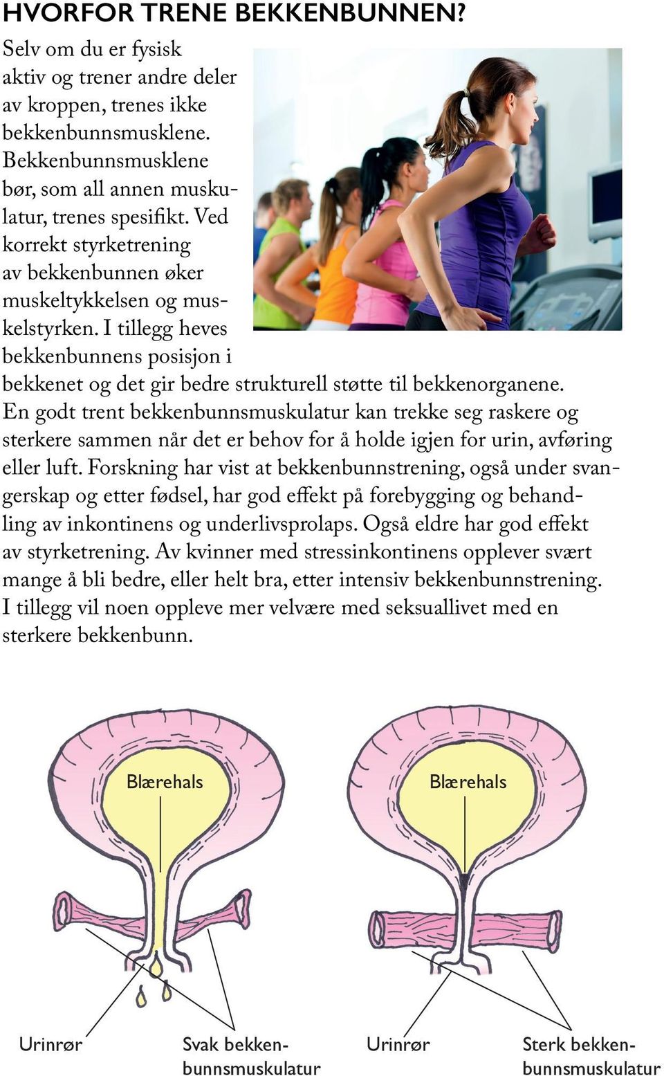 En godt trent bekkenbunnsmuskulatur kan trekke seg raskere og sterkere sammen når det er behov for å holde igjen for urin, avføring eller luft.