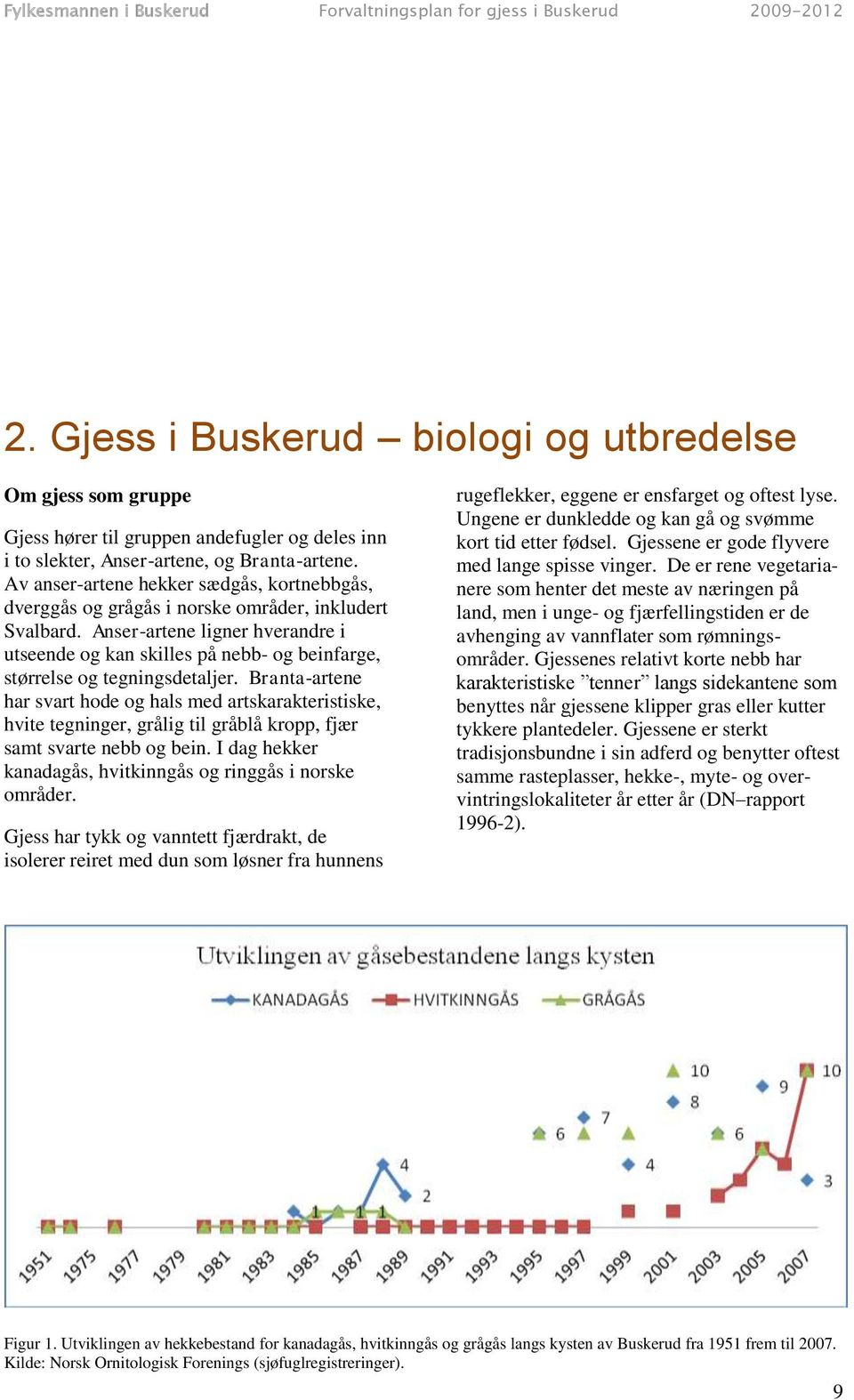 Anser-artene ligner hverandre i utseende og kan skilles på nebb- og beinfarge, størrelse og tegningsdetaljer.