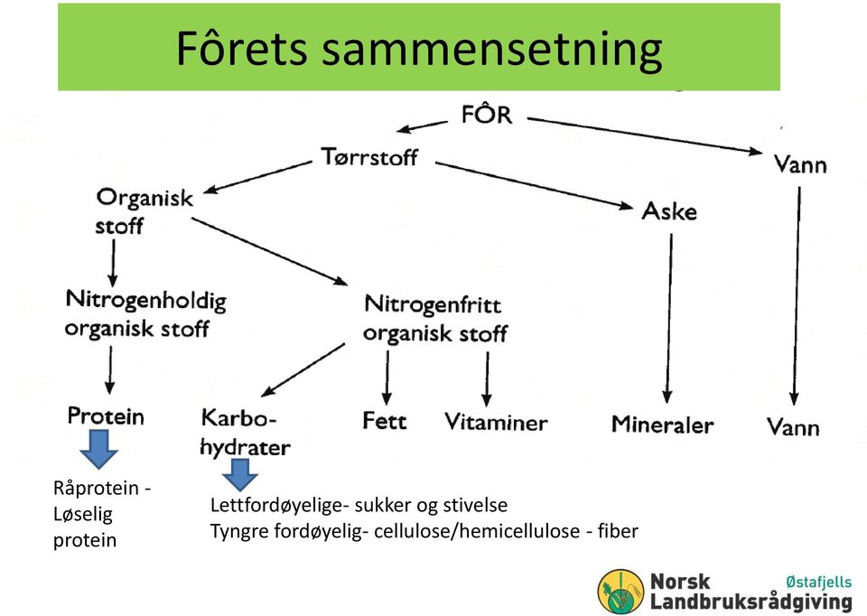 sukker og stivelse Tyngre