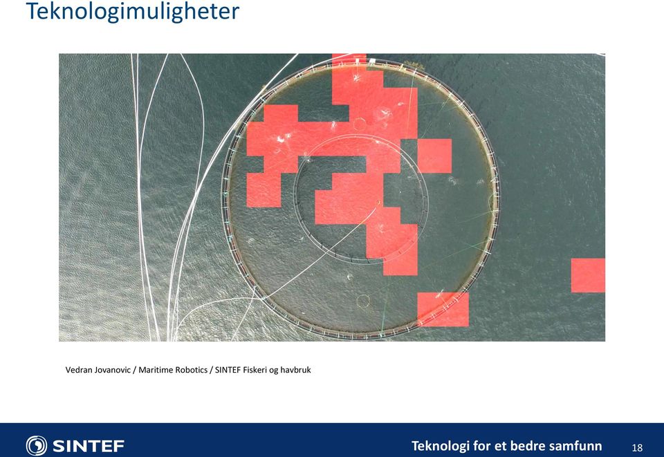 / SINTEF Fiskeri og havbruk