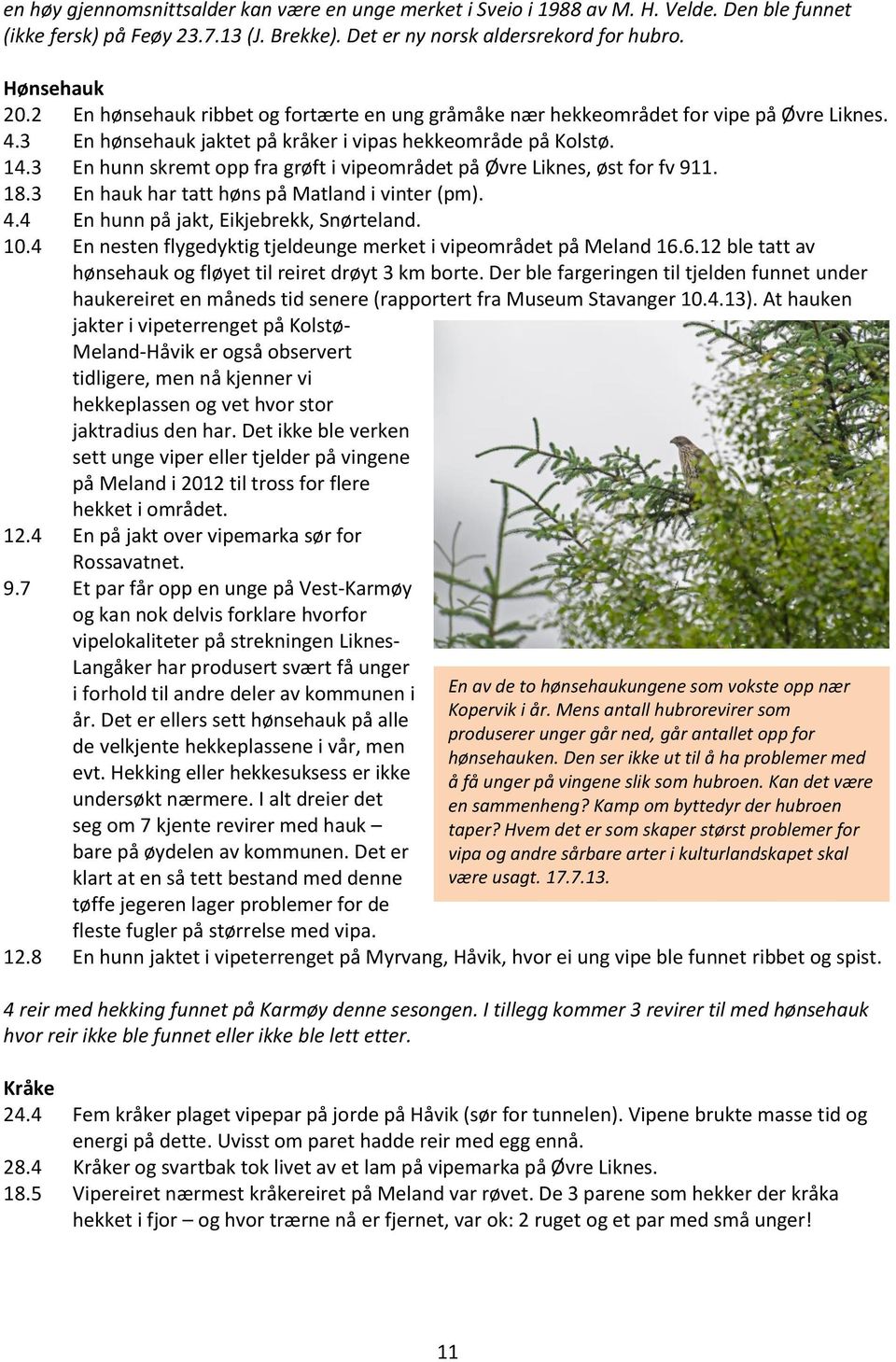 3 En hunn skremt opp fra grøft i vipeområdet på Øvre Liknes, øst for fv 911. 18.3 En hauk har tatt høns på Matland i vinter (pm). 4.4 En hunn på jakt, Eikjebrekk, Snørteland. 10.