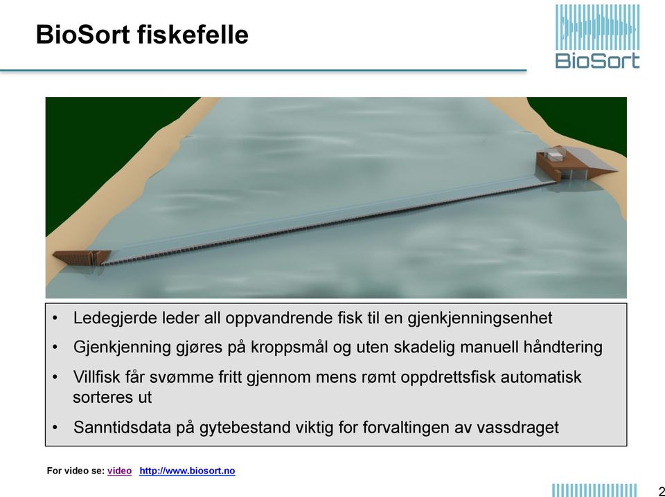 svømme fritt gjennom mens rømt oppdrettsfisk automatisk sorteres ut Sanntidsdata på