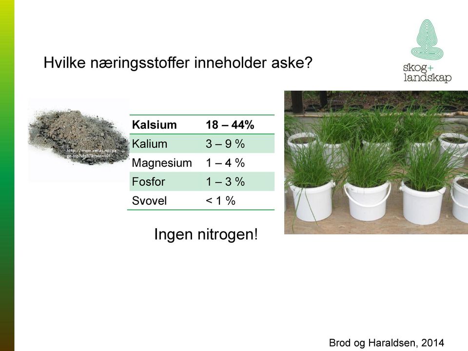 Magnesium 1 4 % Fosfor 1 3 % Svovel