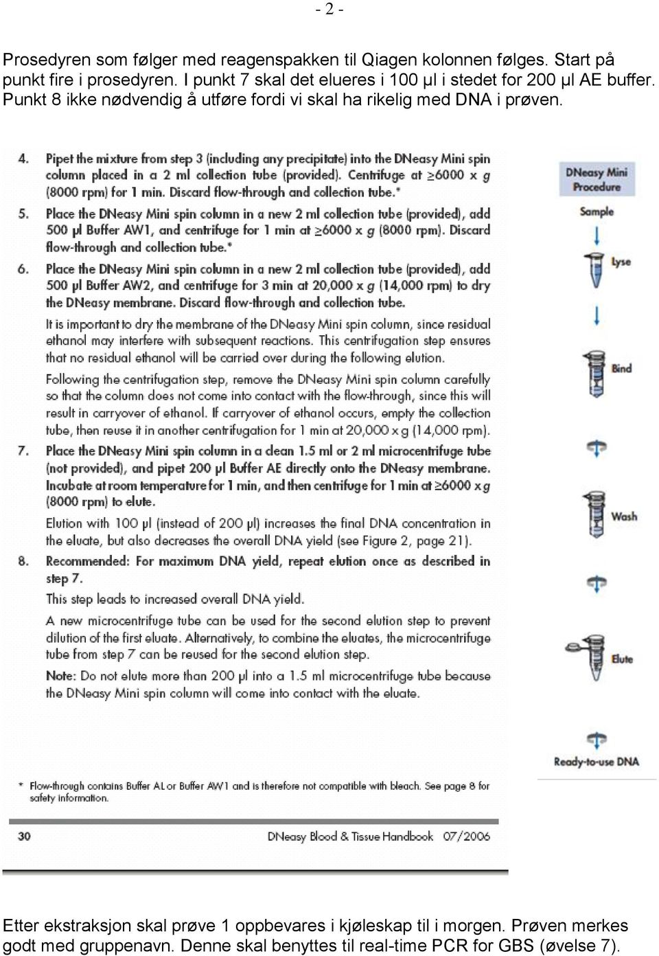 Punkt 8 ikke nødvendig å utføre fordi vi skal ha rikelig med DNA i prøven.