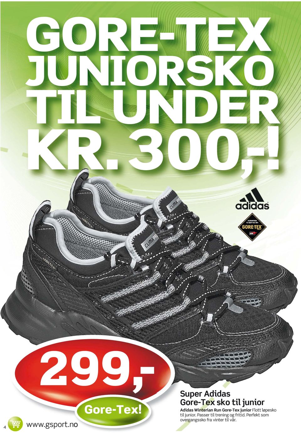 Adidas Gore-Tex sko til junior Adidas Winterian Run Gore-Tex