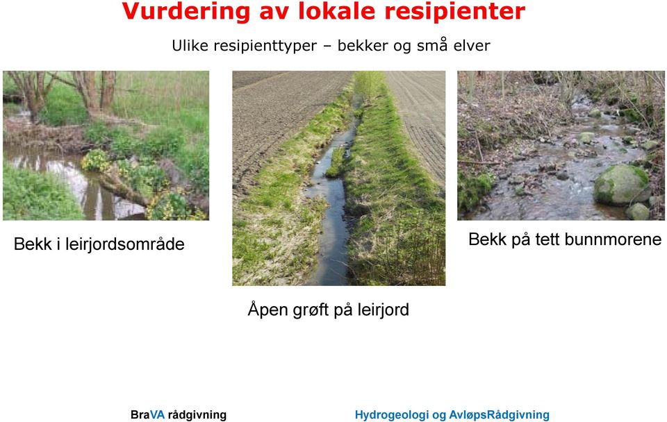 elver Bekk i leirjordsområde Bekk