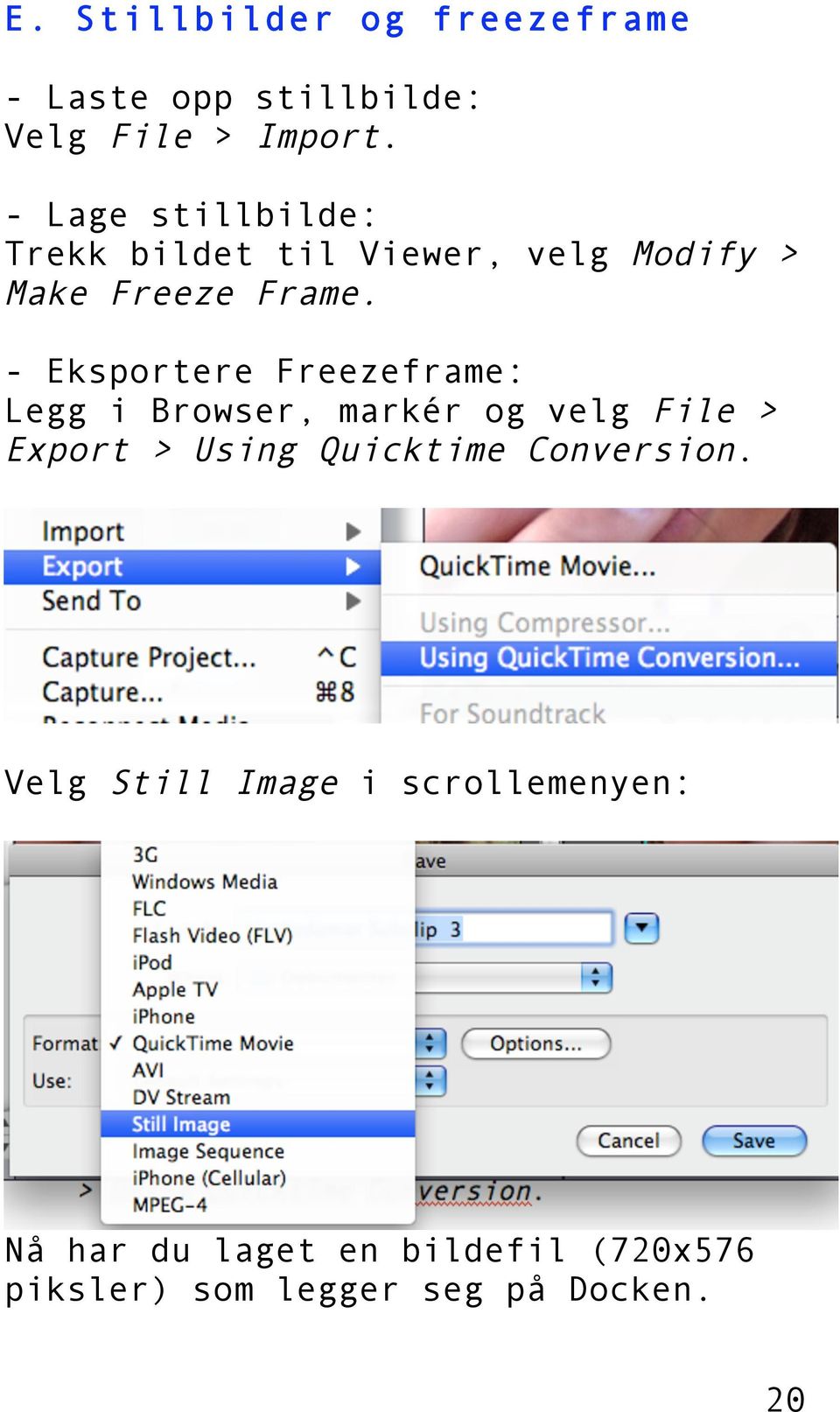 - Eksportere Freezeframe: Legg i Browser, markér og velg File > Export > Using Quicktime