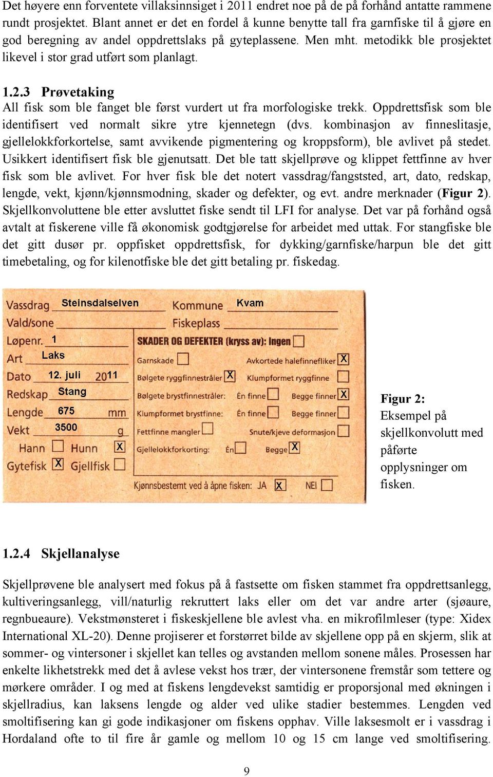 metodikk ble prosjektet likevel i stor grad utført som planlagt. 1.2.3 Prøvetaking All fisk som ble fanget ble først vurdert ut fra morfologiske trekk.