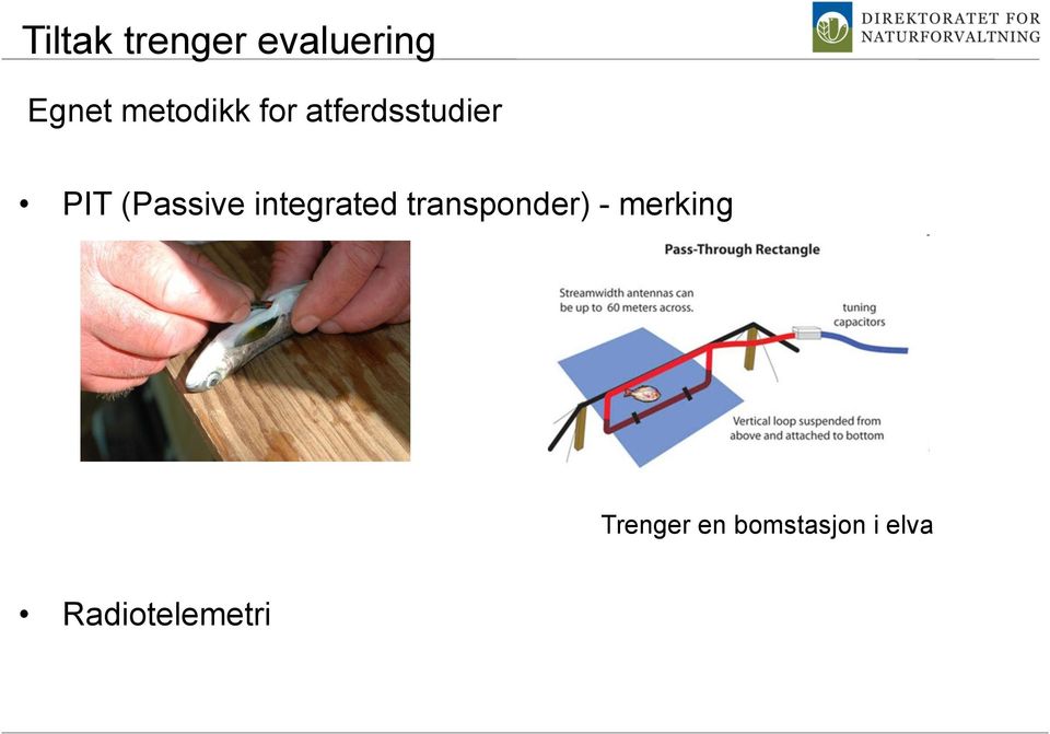 (Passive integrated transponder) -