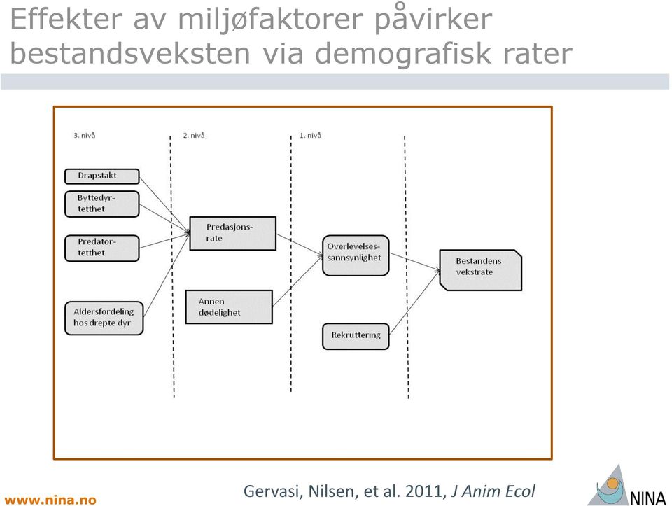 demografisk rater Gervasi,