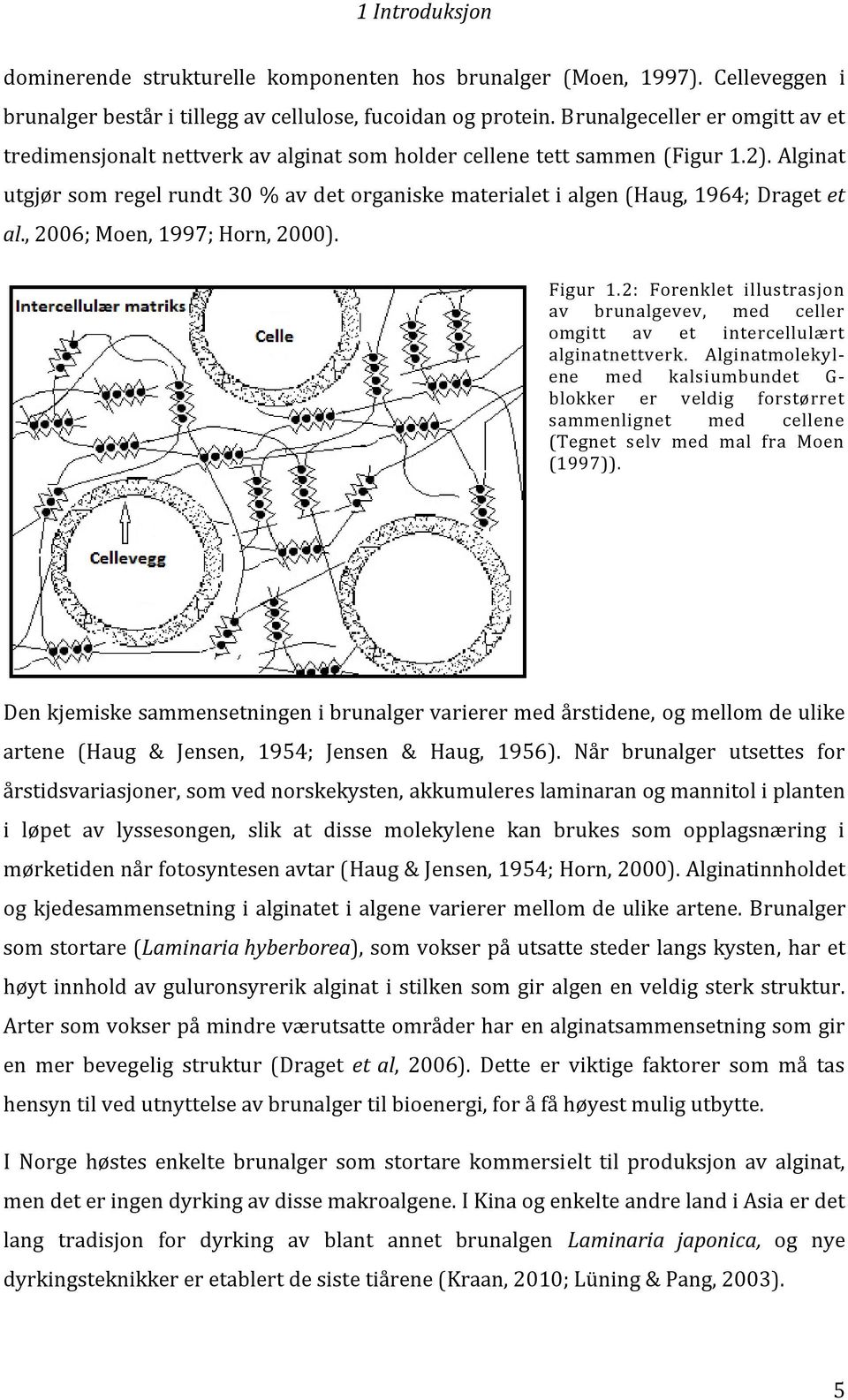 Alginat utgjør som regel rundt 30 % av det organiske materialet i algen (Haug, 1964; Draget et al., 2006; Moen, 1997; Horn, 2000). Figur 1.