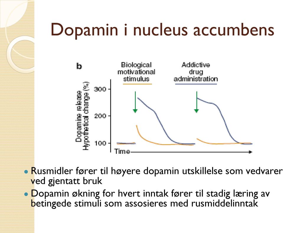 Dopamin økning for hvert inntak fører til stadig