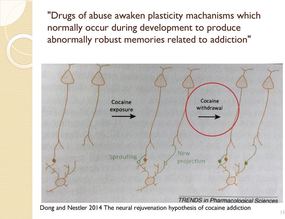 robust memories related to addiction" Dong and Nestler