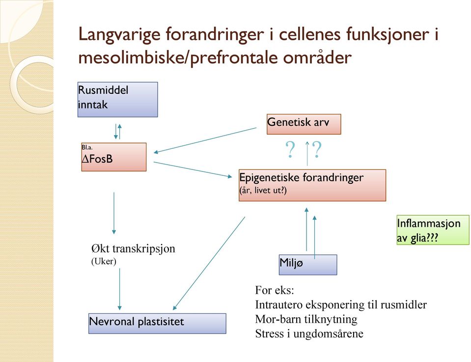 ? Økt transkripsjon (Uker) Miljø Inflammasjon av glia?