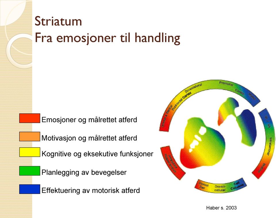 Kognitive og eksekutive funksjoner Planlegging av