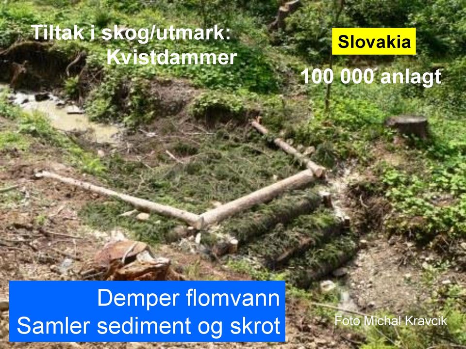 anlagt Demper flomvann Foto