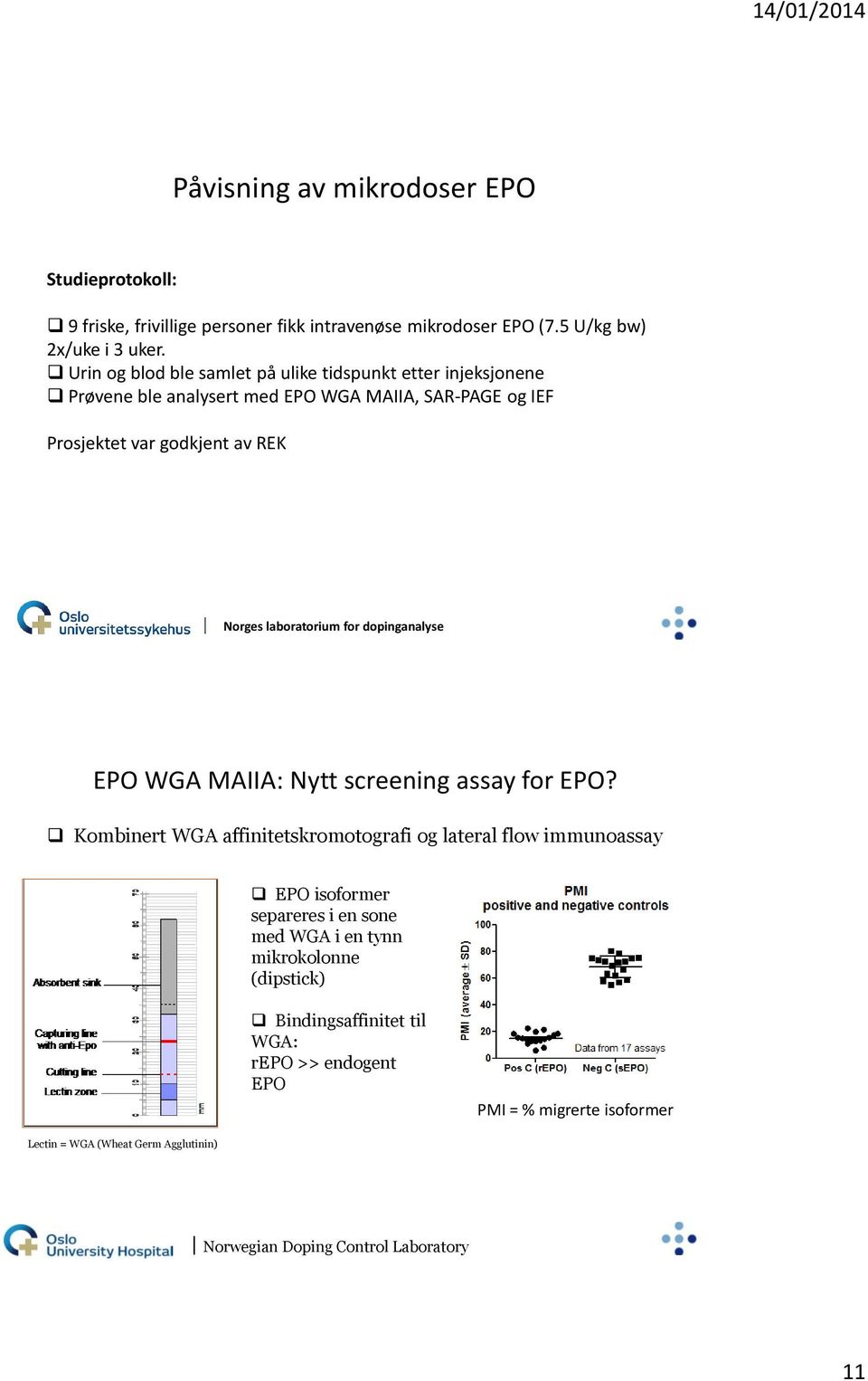 WGA MAIIA: Nytt screening assay for EPO?