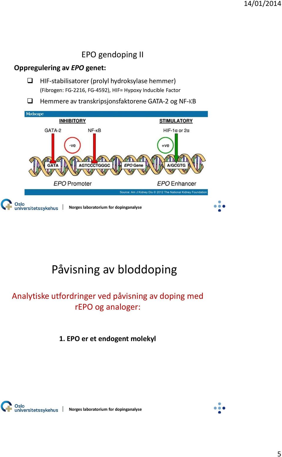 Hemmere av transkripsjonsfaktorene GATA-2 og NF-ΚB Påvisning av bloddoping