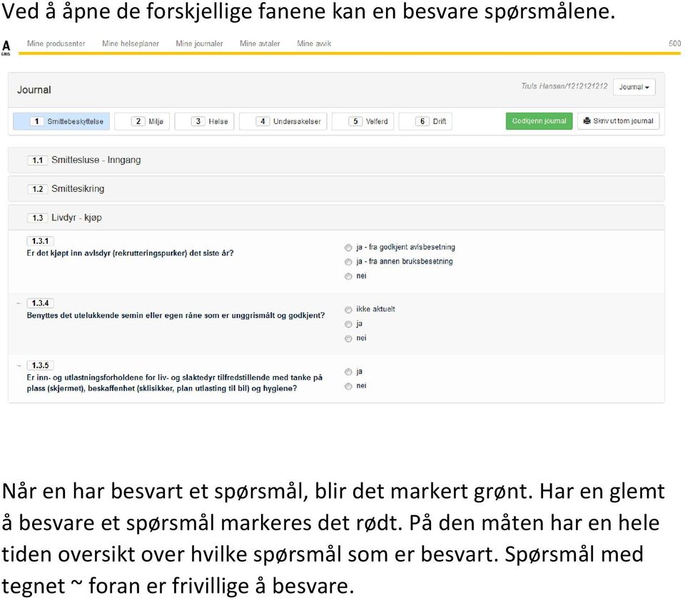 Har en glemt å besvare et spørsmål markeres det rødt.