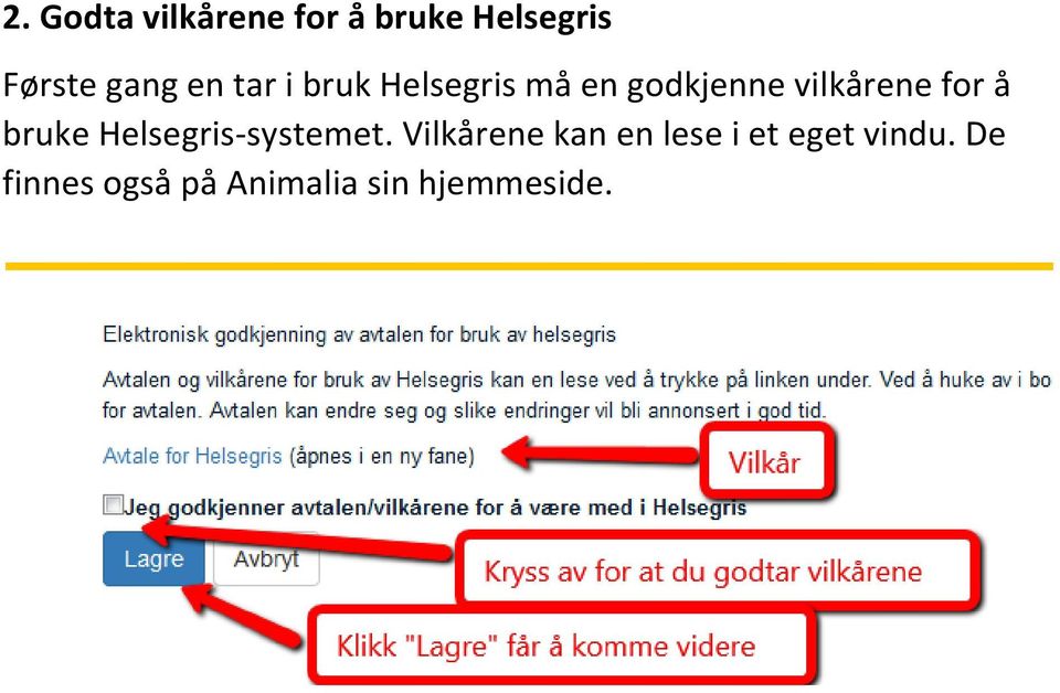 å bruke Helsegris-systemet.