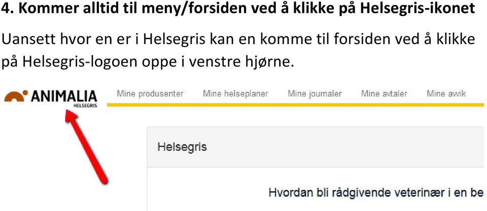 er i Helsegris kan en komme til forsiden ved