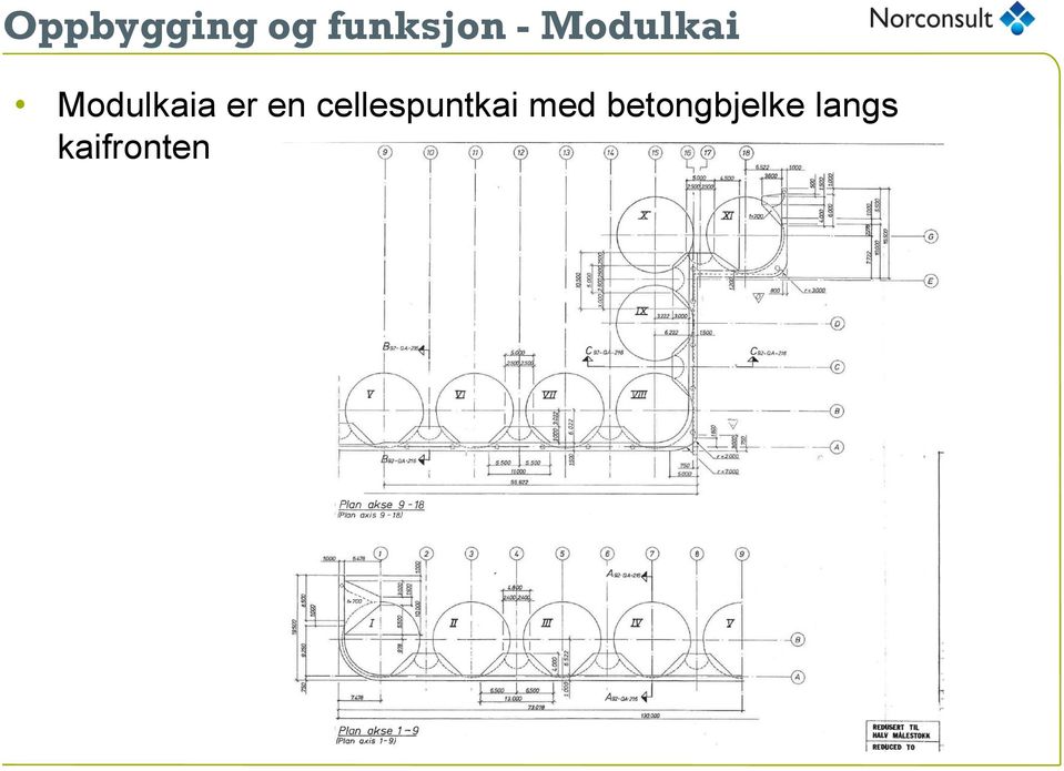 cellespuntkai med