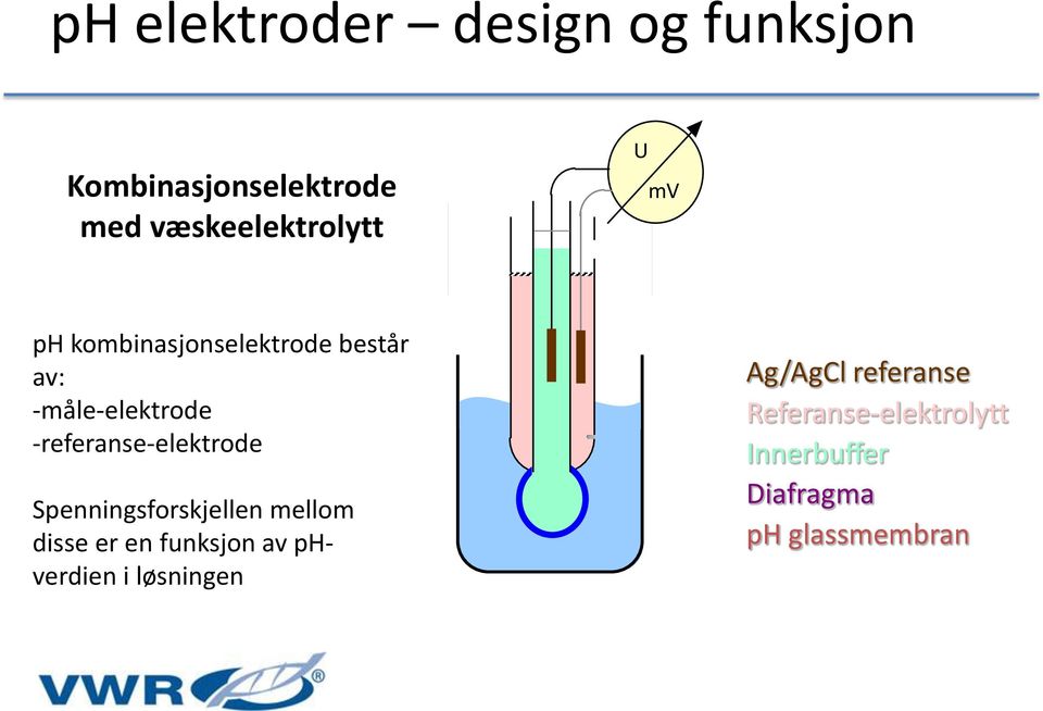 -referanse-elektrode Spenningsforskjellen mellom disse er en funksjon av