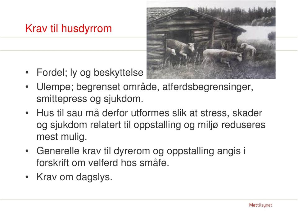 Hus til sau må derfor utformes slik at stress, skader og sjukdom relatert til