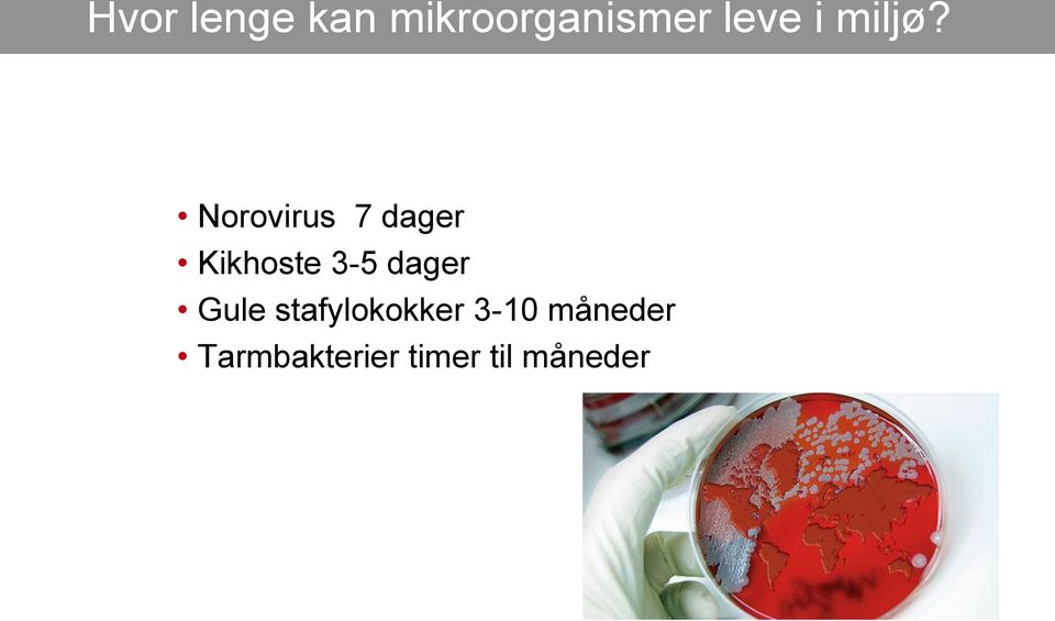 Norovirus 7 dager Kikhoste 3-5 dager