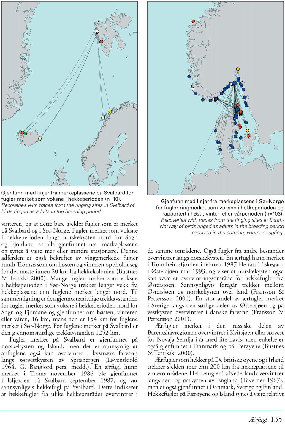 Fugler merket som voksne i hekkeperioden langs norskekysten nord for Sogn og Fjordane, er alle gjenfunnet nær merkeplassene og synes å være mer eller mindre stasjonære.