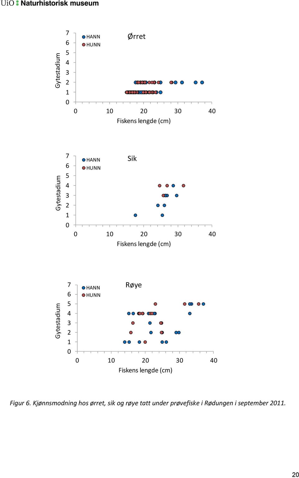 (cm) 7 6 5 4 3 2 1 0 HANN HUNN Røye 0 10 20 30 40 Fiskens lengde (cm) Figur 6.