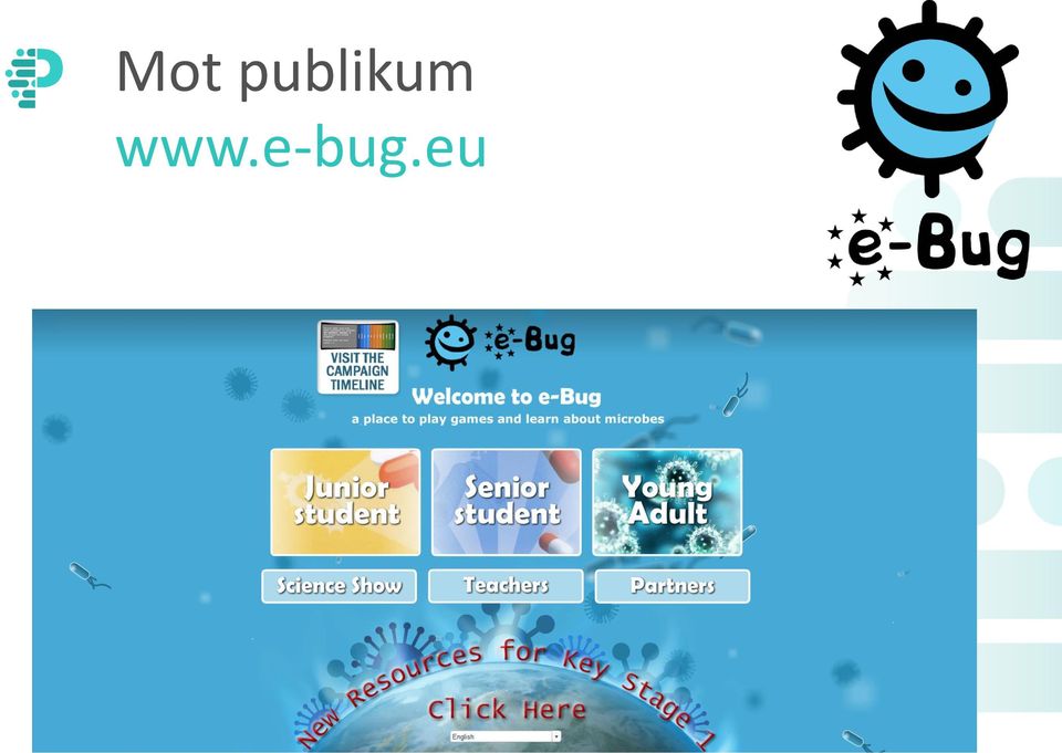 www.e-bug.