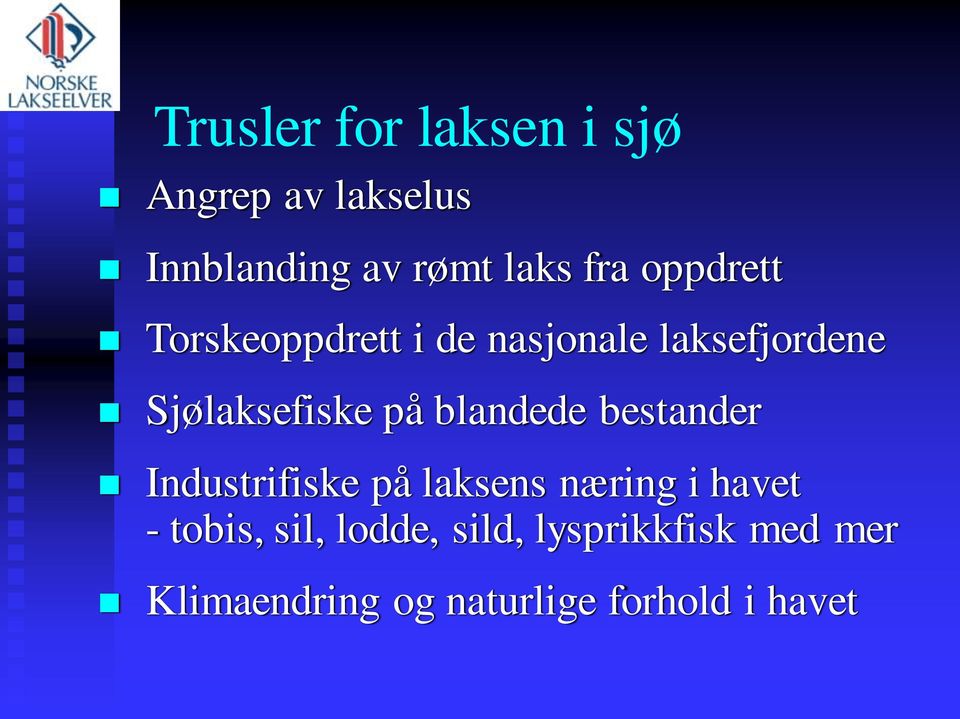 blandede bestander Industrifiske på laksens næring i havet - tobis, sil,