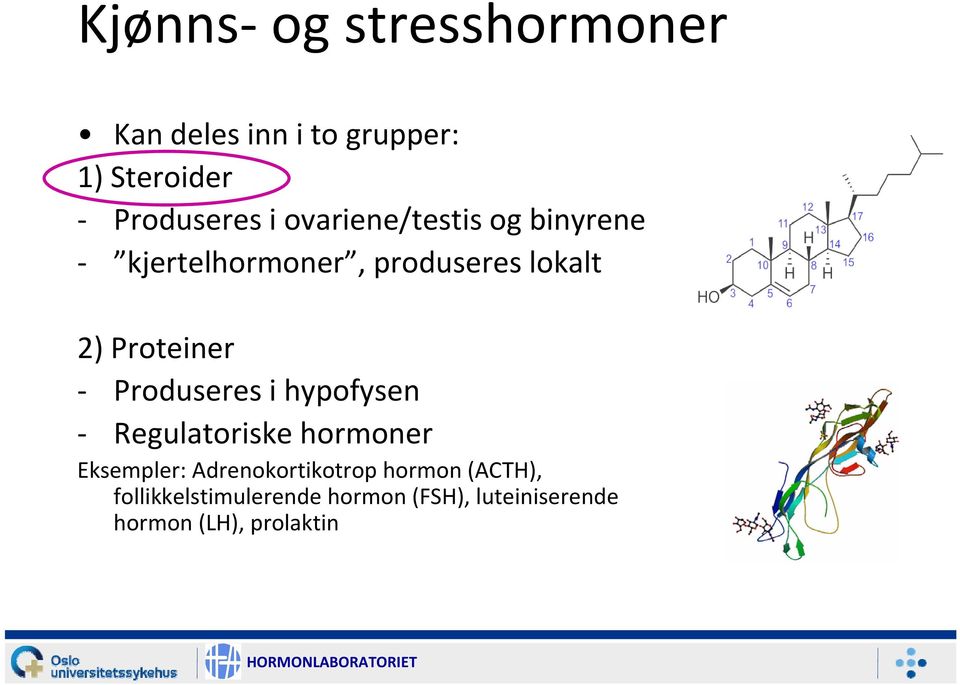 Produseres i hypofysen Regulatoriske hormoner Eksempler: Adrenokortikotrop