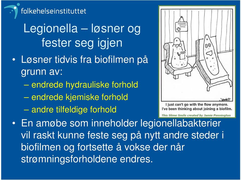 En amøbe som inneholder legionellabakterier vil raskt kunne feste seg på nytt