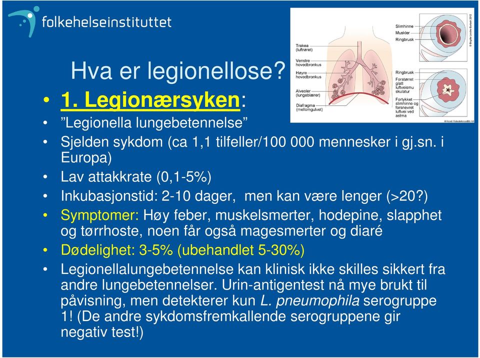 ) Symptomer: Høy feber, muskelsmerter, hodepine, slapphet og tørrhoste, noen får også magesmerter og diaré Dødelighet: 3-5% (ubehandlet 5-30%)