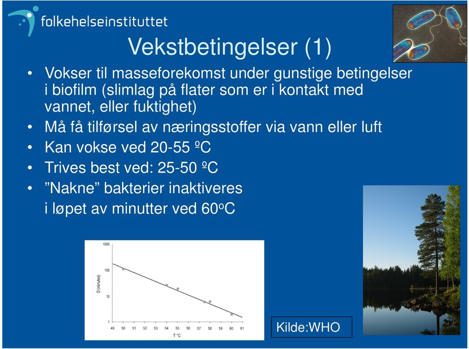 tilførsel av næringsstoffer via vann eller luft Kan vokse ved 20-55 ºC Trives