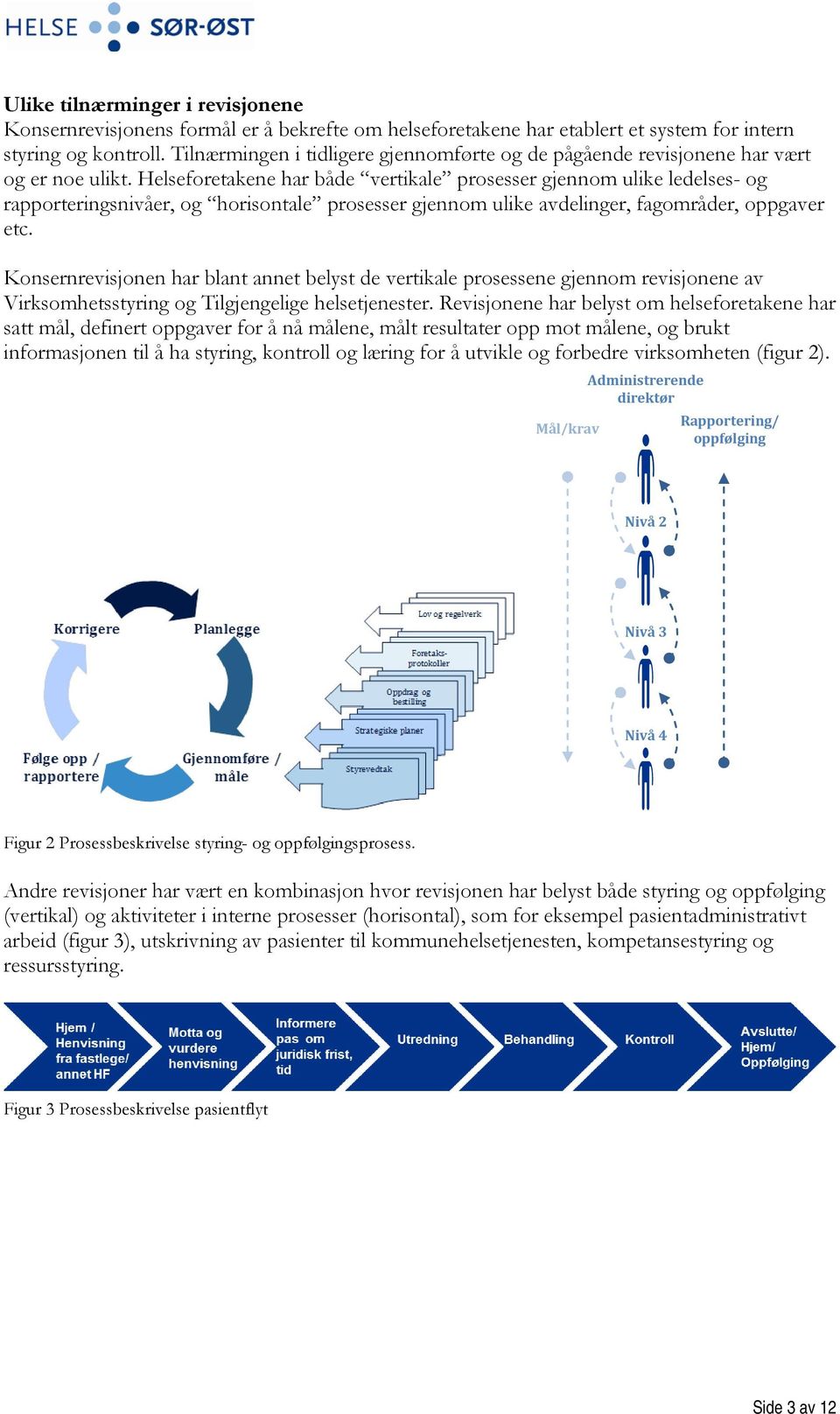 Helseforetakene har både vertikale prosesser gjennom ulike ledelses- og rapporteringsnivåer, og horisontale prosesser gjennom ulike avdelinger, fagområder, oppgaver etc.