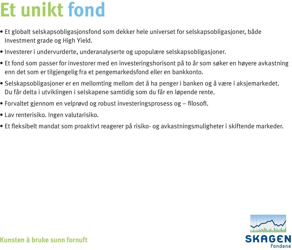 Et fond som passer for investorer med en investeringshorisont på to år som søker en høyere avkastning enn det som er tilgjengelig fra et pengemarkedsfond eller en bankkonto.