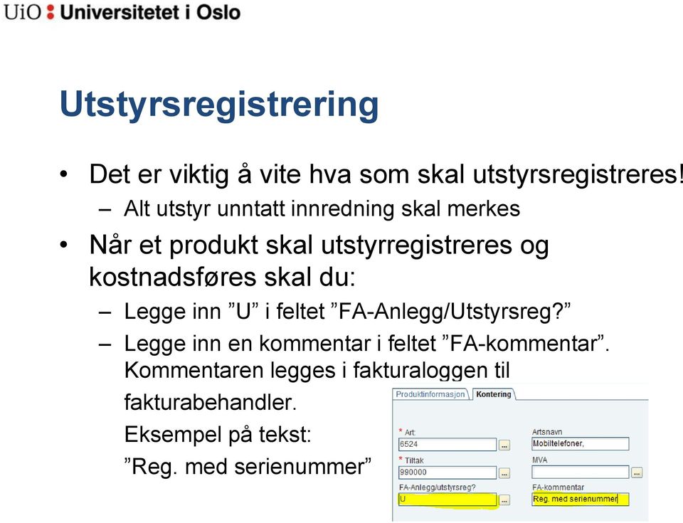 kostnadsføres skal du: Legge inn U i feltet FA-Anlegg/Utstyrsreg?